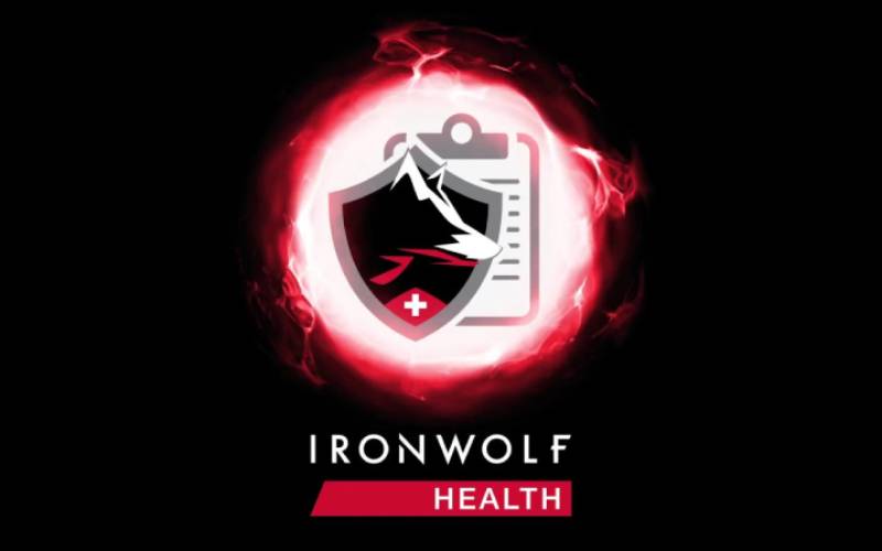 SEAGATE IronWolf